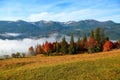 Thick fog, like milk, covered the valley, behind which rise mountain hills. Royalty Free Stock Photo