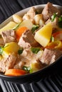 Thick German soup Pichelsteiner with vegetables and three kinds of meat close-up in a bowl. vertical Royalty Free Stock Photo