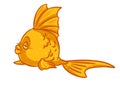 Thick goldfish cartoon