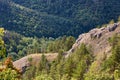 Thick green forest on the mountainside. Forest conservation area. Natural Park Royalty Free Stock Photo