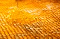 Thick honey spilling over golden honeycombs. Cells of honeycombs filled with sweet honey nectar. Honeycombs close up. A