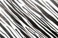 Thick Ink Pen Black Lines on White Background Zebra Skin Barcode Shapes Royalty Free Stock Photo