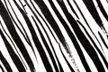 Thick Ink Pen Black Lines on White Background Zebra Skin Barcode Shapes Royalty Free Stock Photo