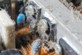 A thick layer of dust covers the internal electronic components of the computer Royalty Free Stock Photo