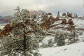 Thick Layer of Snow Covers The Kolob Terrace Area of Zion