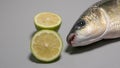 Thick lipped grey mullet fish, freshly caught, with sliced limes Royalty Free Stock Photo