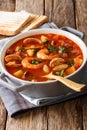 Thick Manhattan chowder soup close-up. Vertical