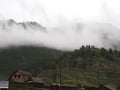Thick mist in wet mountains in the morning, speedup footage
