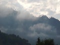 Thick mist in wet mountains in the morning, speedup footage