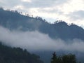 Thick mist in wet mountains in the morning, speedup footage