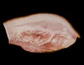 A thick piece of ready-made appetizing, smoked, lard with layers of meat on a black background in isolation Royalty Free Stock Photo