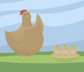 Thick pot-bellied brown chicken teaches three yellow chicks in shell from eggs vector drawing on a background of green grass and b