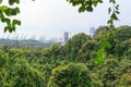 Thick rainforest on Mount Faber and port skyline