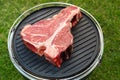 Thick Raw T-Bone Steak with Seasoning and Rosemary