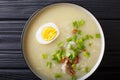 Thick rice soup with chicken, garlic, onion and egg close-up. ho