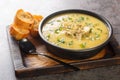 Thick rich cream soup of artichokes, potatoes, leeks and garlic served with toasted bread close-up in a bowl. Horizontal