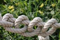 Thick rope with many knots Royalty Free Stock Photo