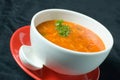 Thick Russian Soup Royalty Free Stock Photo