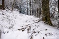 Thick Snow Covers Snake Den Ridge Trail in Spring Royalty Free Stock Photo