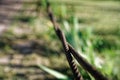 Thick steel rope close up. Bridge fence element. Detailed view. The surface of the steel cable is covered with rust. Royalty Free Stock Photo