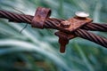 Thick steel rope close up. Bridge fence element. Detailed view. The surface of the steel cable is covered with rust. Royalty Free Stock Photo