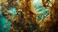 The thick tangling mass of Sargassum creates a mazelike environment for sea creatures transforming the ocean floor into Royalty Free Stock Photo