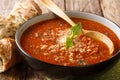 Thick tomato basil cream soup with parmesan cheese close-up in a bowl with bread. horizontal