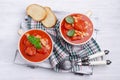 Thick tomato soup with beans Royalty Free Stock Photo