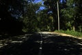 road thru the shadow of tropical forest Royalty Free Stock Photo