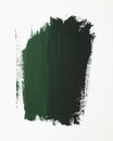 Thick vertical stroke in dark Perylene Green on white Royalty Free Stock Photo