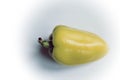 Yellow bell pepper as a structural background.