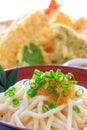 Thick white noodles with grated radish