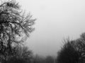 Thickest Fog Royalty Free Stock Photo