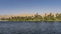 Thickets of green palm trees and bushes are visible on the banks of the Nile. Royalty Free Stock Photo