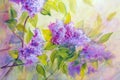 Thickets of lilac bush at sunrise. Oil painting Royalty Free Stock Photo