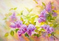 Thickets of lilac bush at sunrise. Oil painting Royalty Free Stock Photo