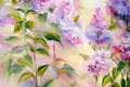 Thickets of lilac bush at sunrise. Oil painting Royalty Free Stock Photo