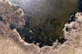 .Thickets, meadows on the shores of the lake, aerial view, photo from a drone Royalty Free Stock Photo