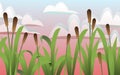 Thickets of reeds. Grass densely green. Red evening sunset. Summer coastal landscape. Bank of river or lake. Cartoon fun Royalty Free Stock Photo