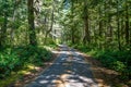 Thickly wooded Areas Around our Cabin