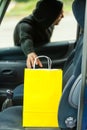 Thief stealing shopping bag from the car Royalty Free Stock Photo