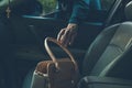 A thief steals bag in car Royalty Free Stock Photo