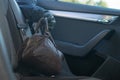 the thief takes the bag with the documents from the back seat of the car