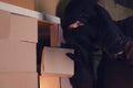 A thief takes a box with a parcel in a warehouse at night. Concept of security problems in warehouses and stores