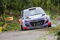 Thierry Neuville at ADAC Rally Deutschland 2014 Royalty Free Stock Photo