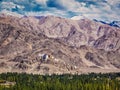 Thiksey monastery. Ladakh, India Royalty Free Stock Photo