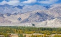 Thiksey monastery in leh