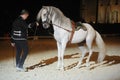 Horse dressage night show, Hasta Luego stable at Thillombois castle in the Meuse