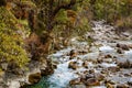 Thimphu Chhu mountain river. Bhutanese mountain forest and blooming rhododendrons on the banks. Cold swift rough river flows from Royalty Free Stock Photo