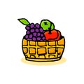 Thin black outline basket of fruits vector illustration isolated on white background. Royalty Free Stock Photo